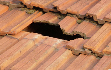roof repair Ravenscliffe